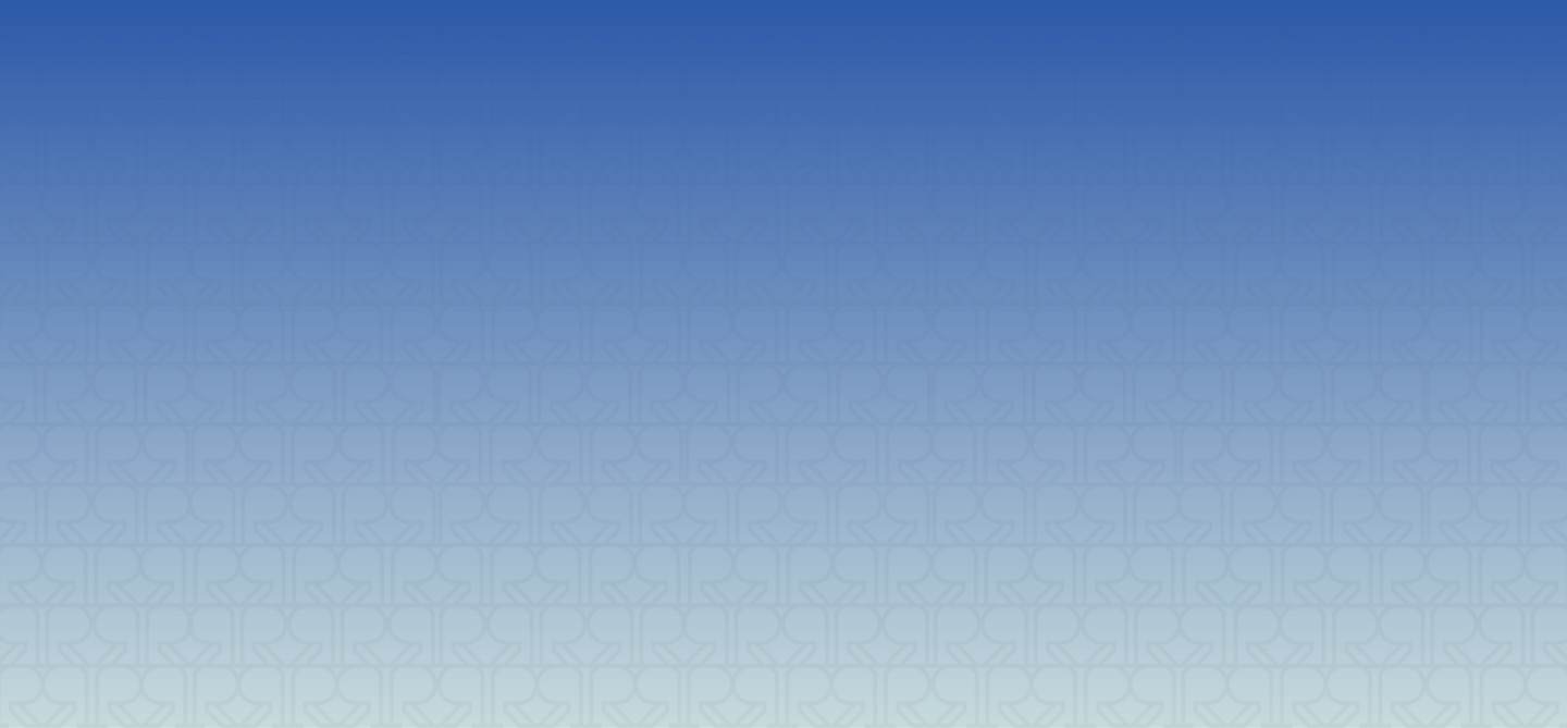 RISE brand background pattern